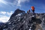 Mendaki Gunung Tertinggi di Indonesia Puncak Jaya Wijaya